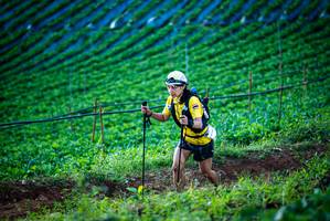 BIB: 
                            <button type="button" onclick="openModal(19160141)" class="btn btn-primary btn-sm float-right btn-popup" data-toggle="modal" data-target=".modal-high-quality">
                        <i class="fas fa-shopping-cart"></i> Add to Cart
                    </button>
                                            <button type="button" onclick="isThisMe(19160141, true)" class="btn btn-success btn-sm float-right btn-popup btn-isme hidden" data-toggle="tooltip" data-placement="bottom" title="นี่คือรูปของคุณใช่ไหม คลิกที่นี่เพื่อเอาเข้าอัลบั้ม">
                        <i class="fas fa-plus"></i> Add to album
                    </button>
                    <button type="button" onclick="isThisMe(19160141, false)" class="btn btn-warning btn-sm float-right btn-popup btn-isnotme hidden">
                        <i class="fas fa-ban"></i> Remove from album
                    </button>